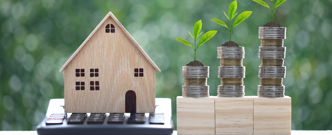 Symbolbild-Holzhaus-auf-Taschenrechner-aus-drei-Muenzstapeln-wachsen-Pflanzen