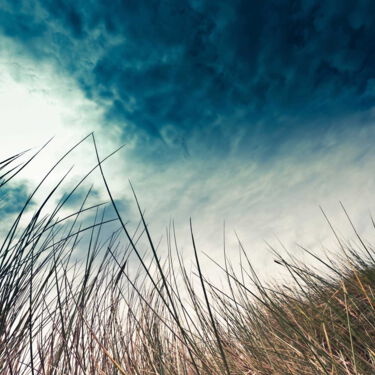 blick-von-unten-strandgras-gegen-dramatischen-wolkenhimmel-mit-gleissender-sonne