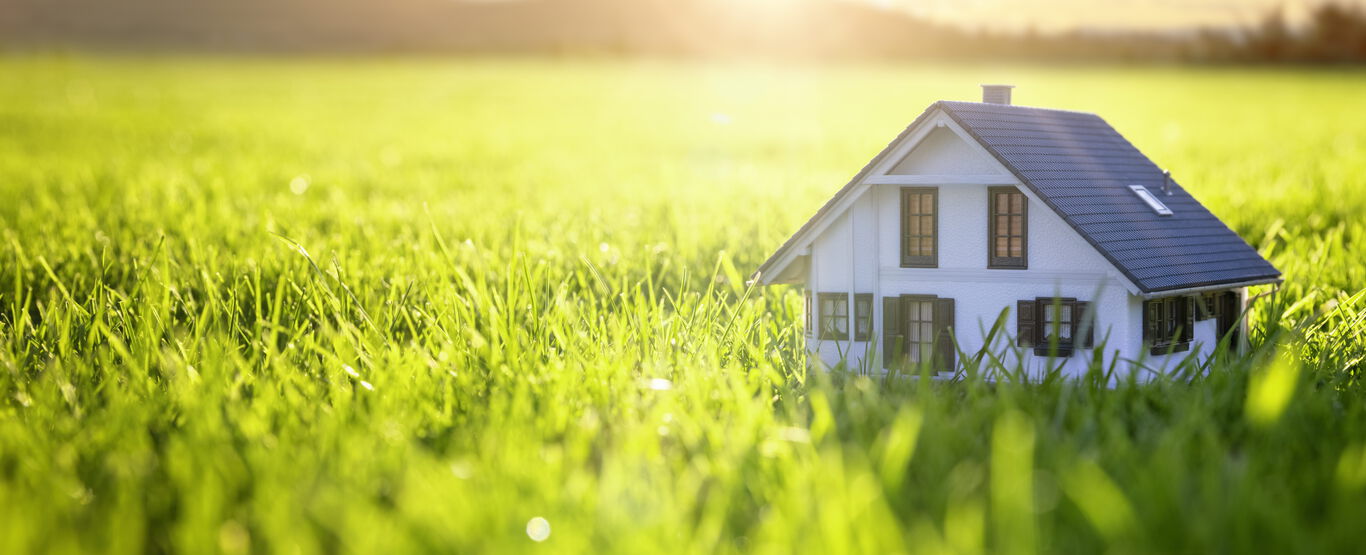 Kleines-Haus-auf-hoher-grüner-Wiese-vor-Sonnenuntergang